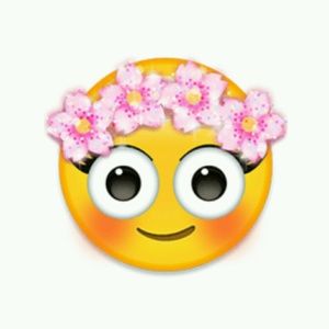 Meet your Posher, Lapanga